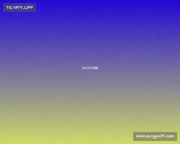 atp1000有几站 atp1000有几站